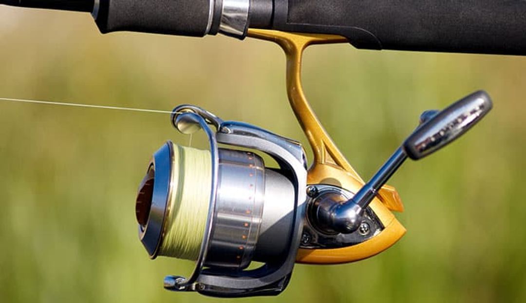 Types Of Fishing Reels And How To Use The Best Fishing Reels