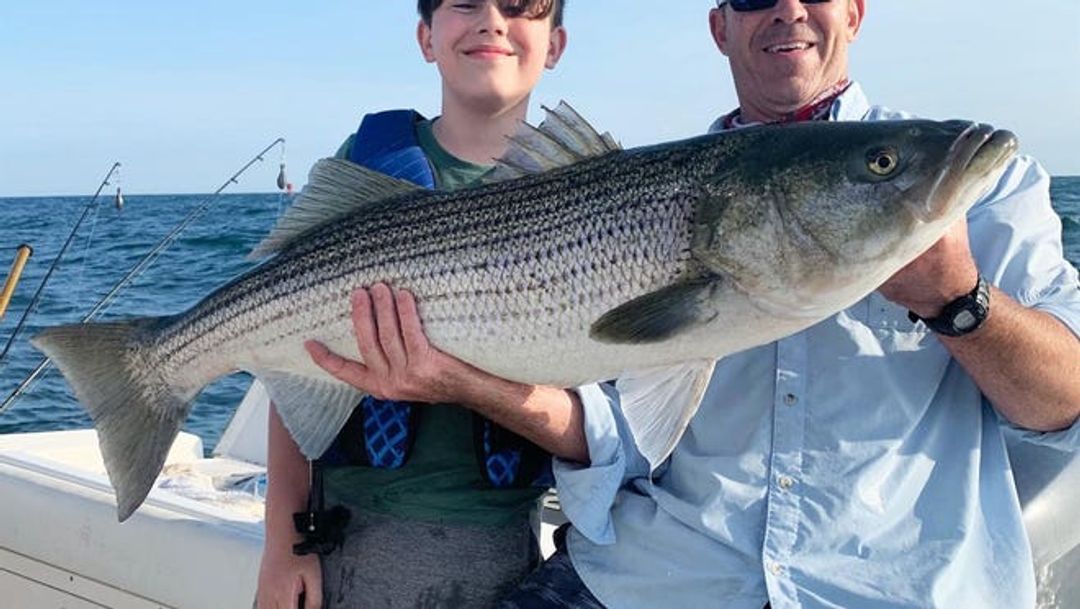 An Expert’s Guide To Freshwater Striped Bass Fishing For Beginners